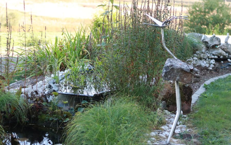 Aussenanlage mit Pflanzen und Steinen